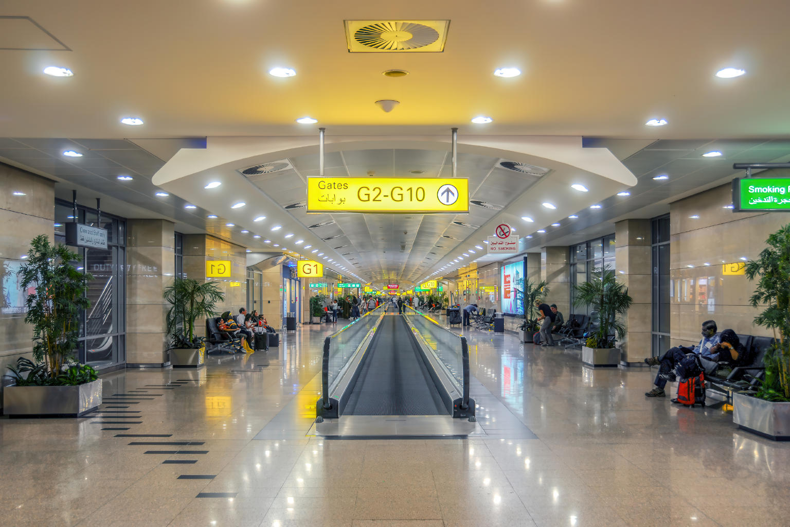 Passenger Handling | Cairo international airport.